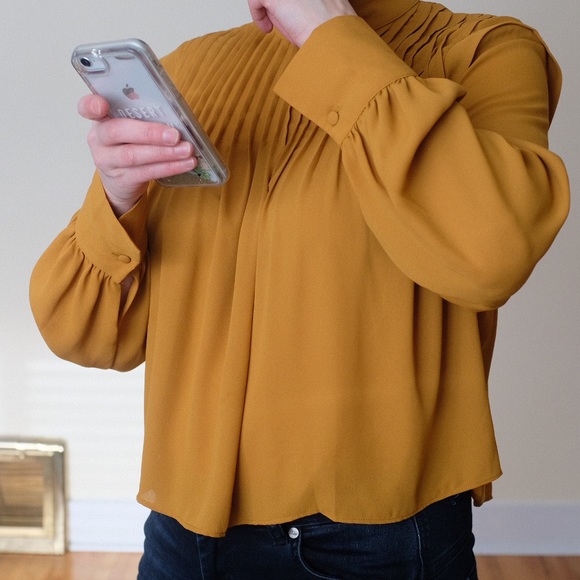 Aritzia Babaton Babydoll Blouse with pleats - caramel - Picture 4 of 12